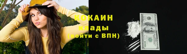 соль ск Алексин