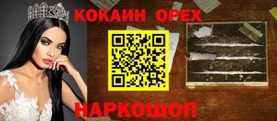 гашик Кандалакша