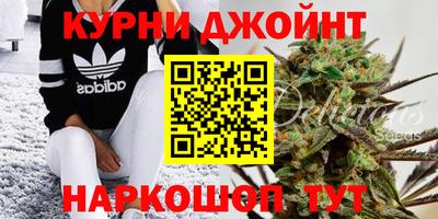гашик Кандалакша