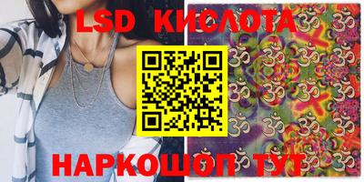 гашик Кандалакша