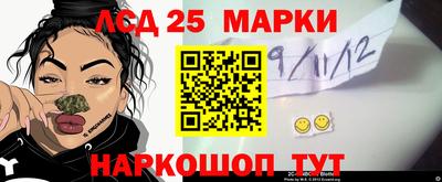 гашик Кандалакша