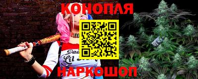 гашик Кандалакша