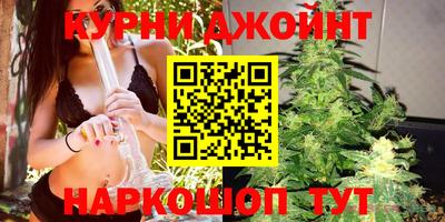 гашик Кандалакша