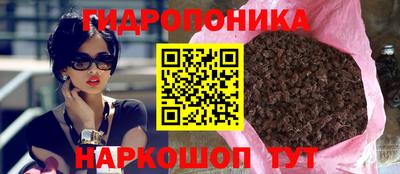 гашик Кандалакша