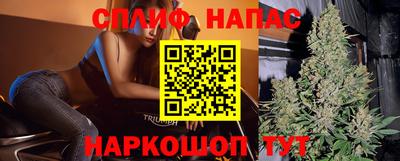 гашик Кандалакша