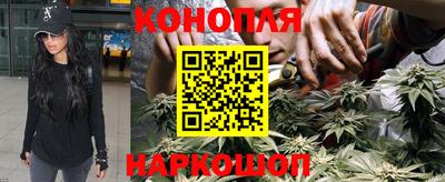 mdma Камышлов