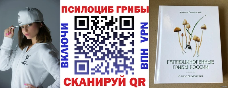 darknet формула  Петропавловск-Камчатский  Псилоцибиновые грибы ЛСД 
