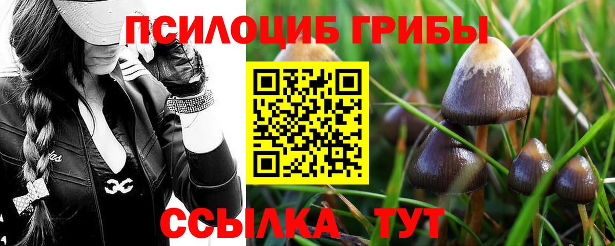 Галлюциногенные грибы мухоморы  Вход с VPN  Петропавловск-Камчатский 
